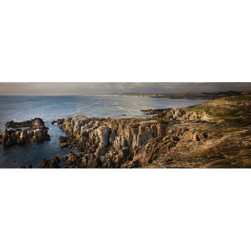 Bushnell品牌宣言