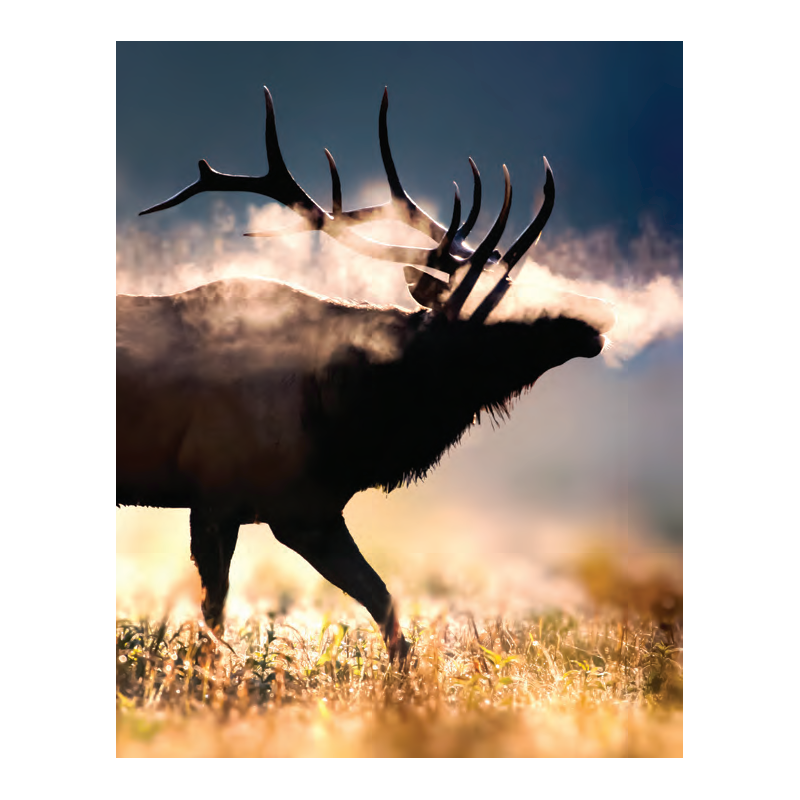 Bushnell望远镜卓越系列产品性能特点