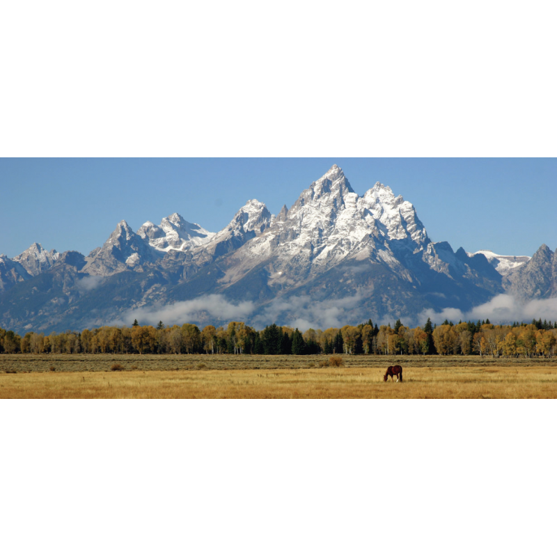 Bushnell望远镜传奇系列产品性能特点